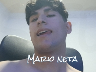 Mario_neta