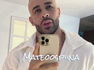 Mateoospiina