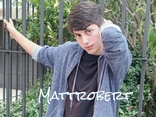 Mattrobert