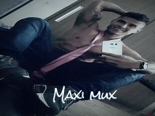 Maxi_mux