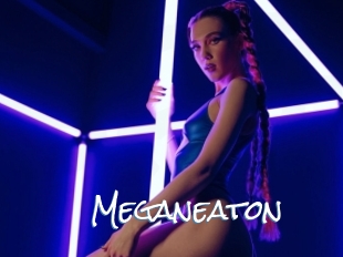 Meganeaton