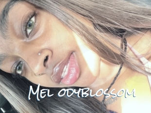 Mel_odyblossom