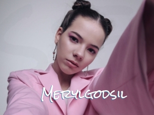 Merylgodsil