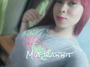 Mia_rabbit