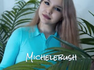 Michelebush