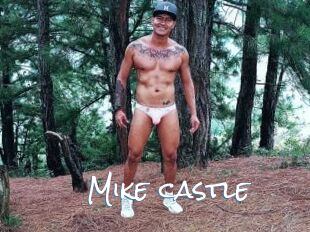 Mike_castle