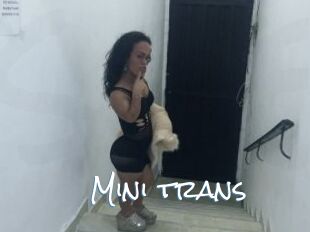 Mini_trans