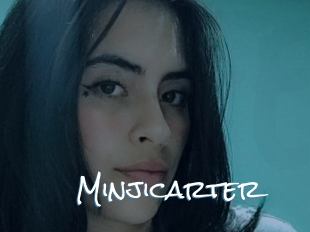 Minjicarter