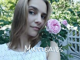 Mintleaves