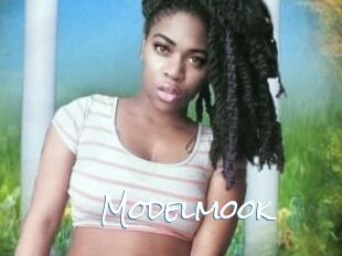 Modelmook