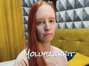 Mollyrabbit