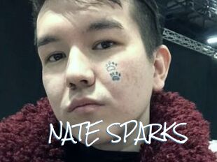 NATE_SPARKS