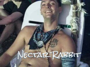 Nectar_Rabbit