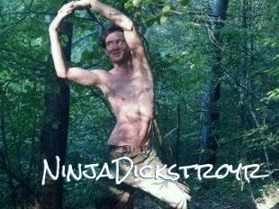 NinjaDickstroyr