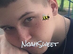 NoahSweet