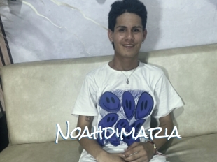 Noahdimaria