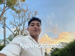 Noahkarter