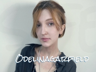 Odelinagarfield