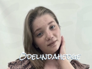 Odelindahedge