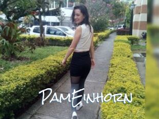 PamEinhorn