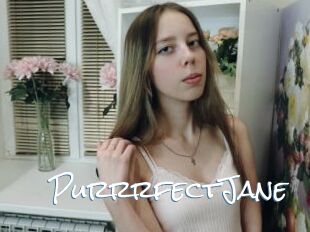 PurrrfectJane