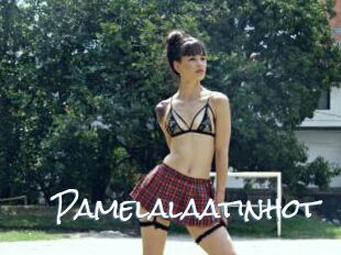 Pamelalaatinhot