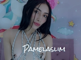 Pamelaslim