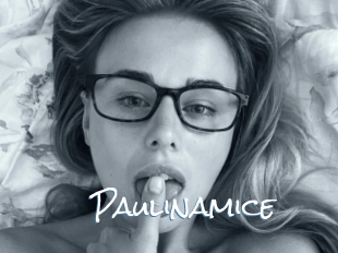 Paulinamice