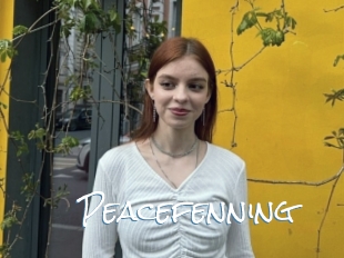 Peacefenning