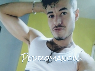 Pedromancini