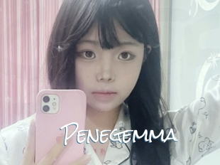 Penegemma