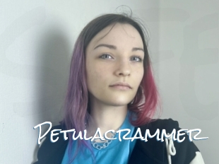 Petulacrammer