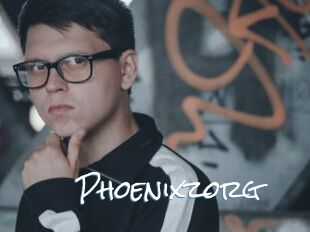 Phoenixzorg