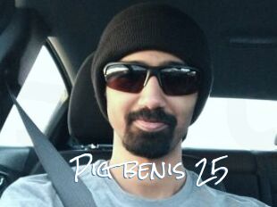 Pig_benis_25