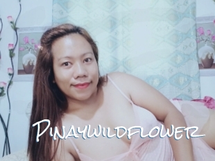 Pinaywildflower