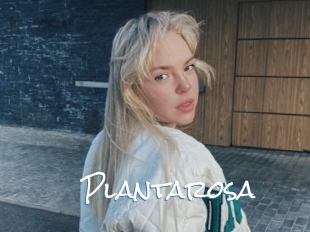 Plantarosa