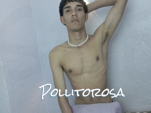 Pollitorosa