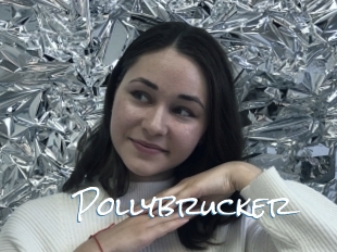 Pollybrucker