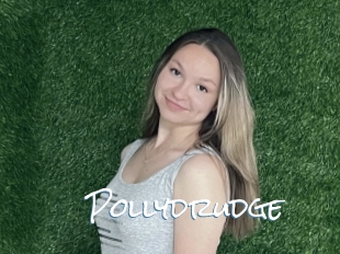 Pollydrudge