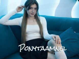 Ponytaamnel