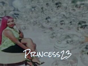 Princess23