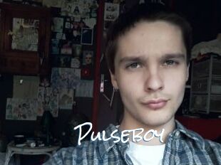 Pulseboy