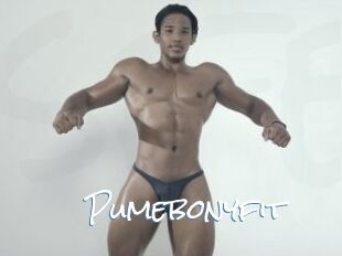 Pumebonyfit