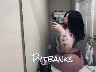 Pytbanks