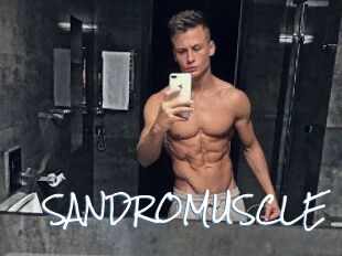 SANDRO_MUSCLE