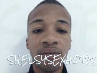 SHELSYSEXHOT32