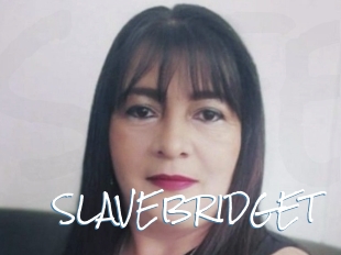 SLAVEBRIDGET