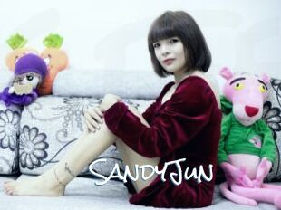 SandyJun