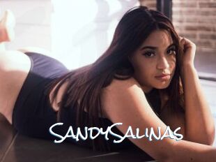 SandySalinas