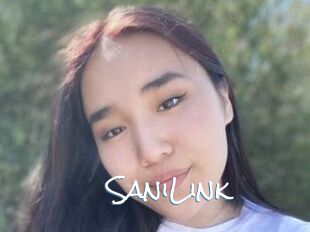 SaniLink